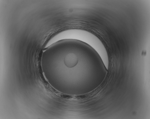 X0000113110504200909111118