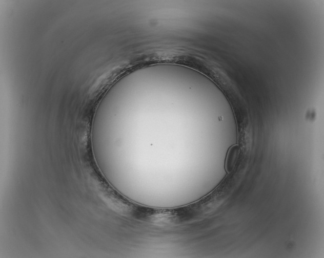 X0000113110505200909111118