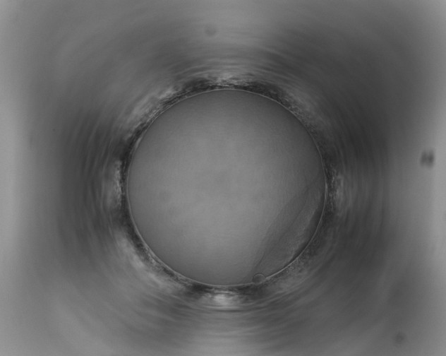 X0000113110506200909111118