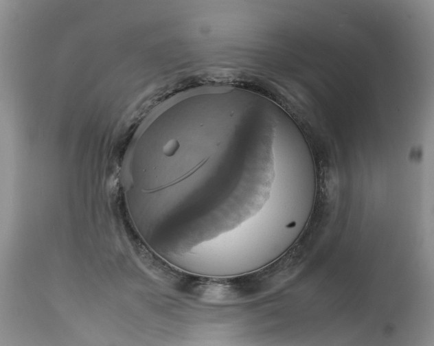 X0000113110507200909111118