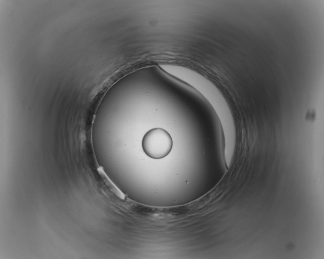 X0000113110508200909111118