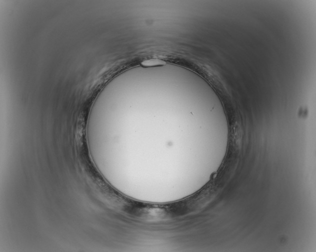 X0000113110509200909111118