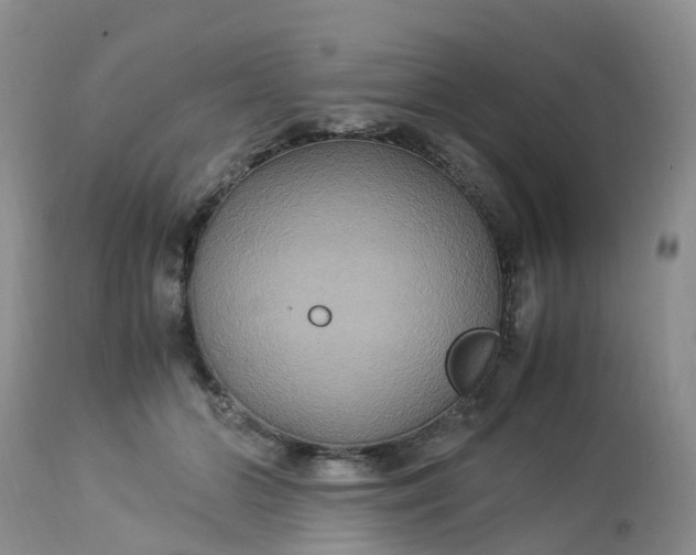 X0000113110510200909111118