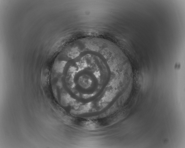 X0000113110511200909111118