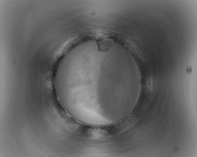 X0000113110512200909111118