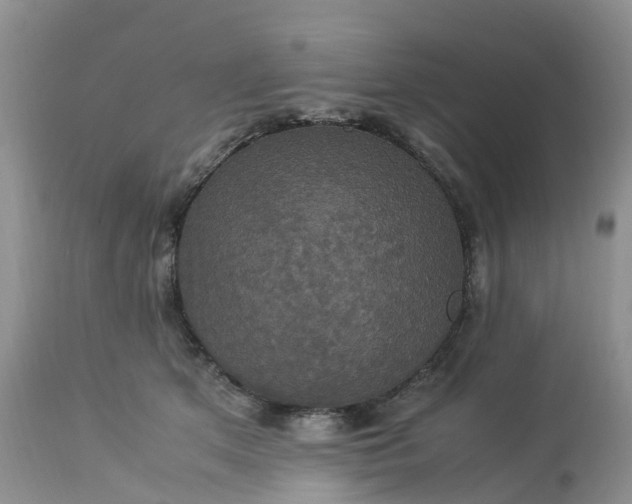 X0000113110513200909111118