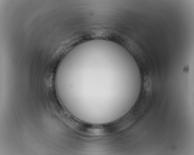 X0000113110514200909111118