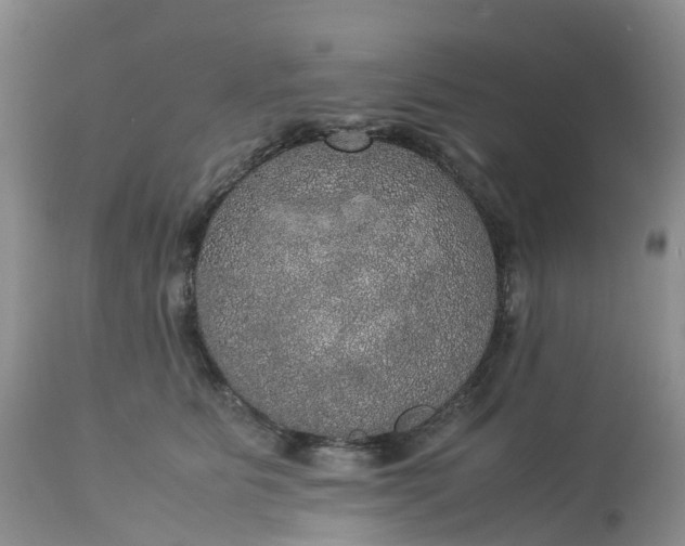 X0000113110515200909111118