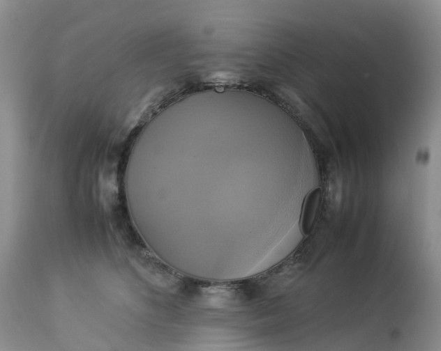 X0000113110516200909111118