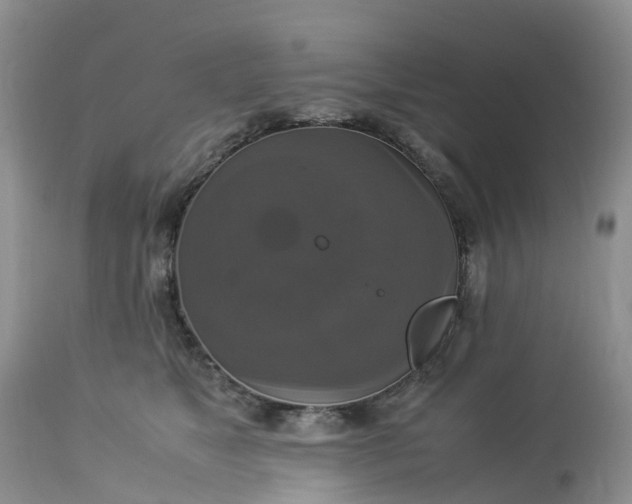 X0000113110517200909111118