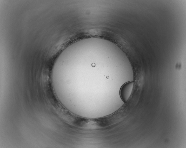 X0000113110518200909111118