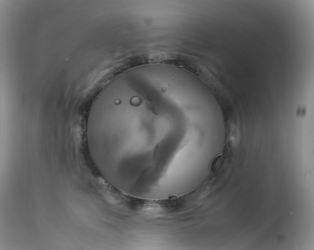 X0000113110519200909111118