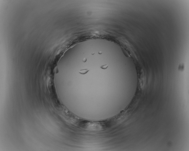 X0000113110520200909111118