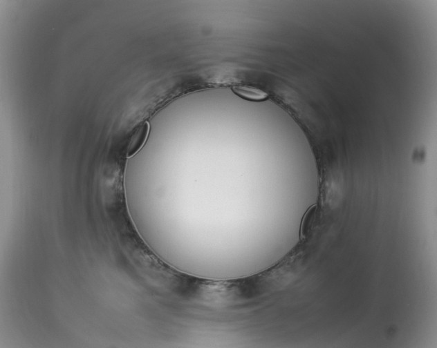 X0000113110521200909111118