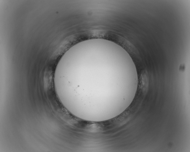 X0000113110522200909111118