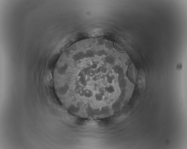 X0000113110523200909111118