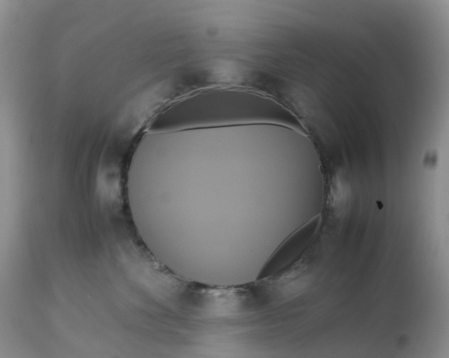 X0000113110524200909111118