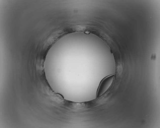 X0000113110525200909111118