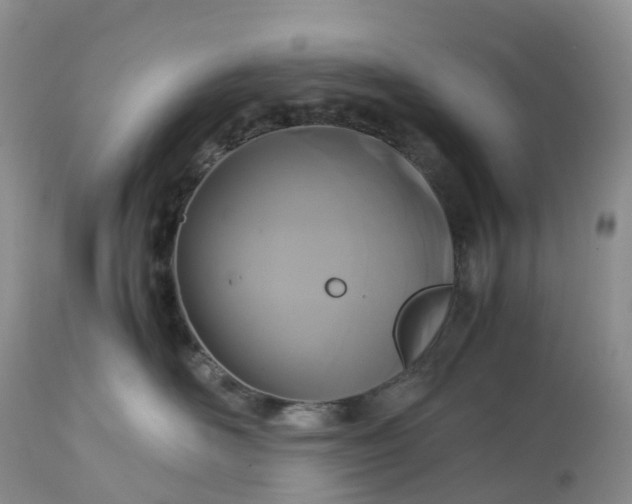 X0000113110526200909111118