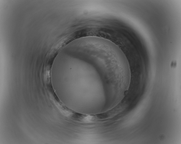 X0000113110527200909111118