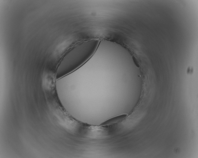 X0000113110528200909111118