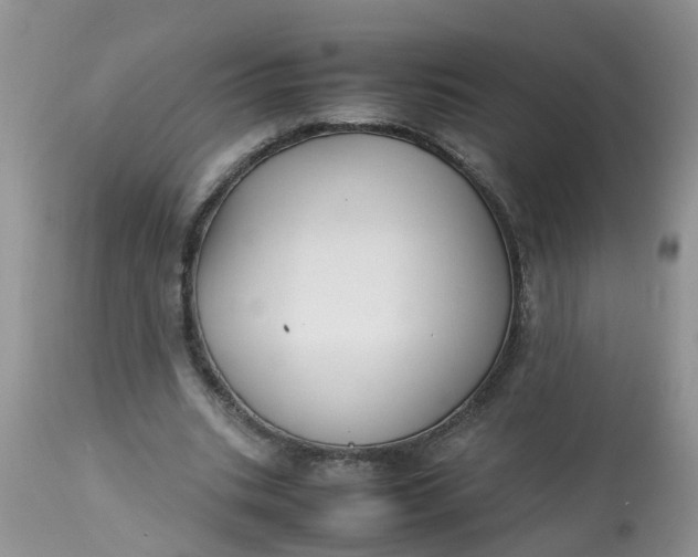 X0000113110535200909111117