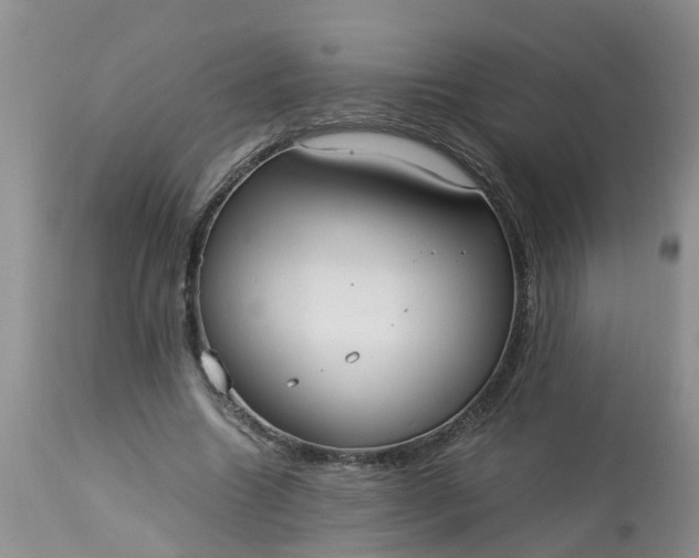 X0000113110538200909111117