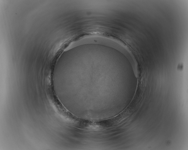 X0000113110547200909111117