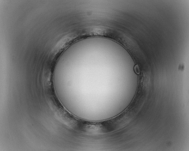 X0000113110548200909111117