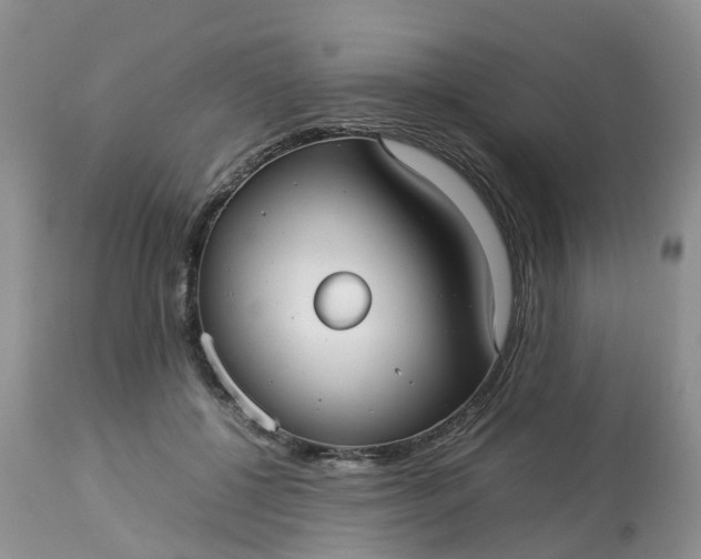 X0000113110552200909111117