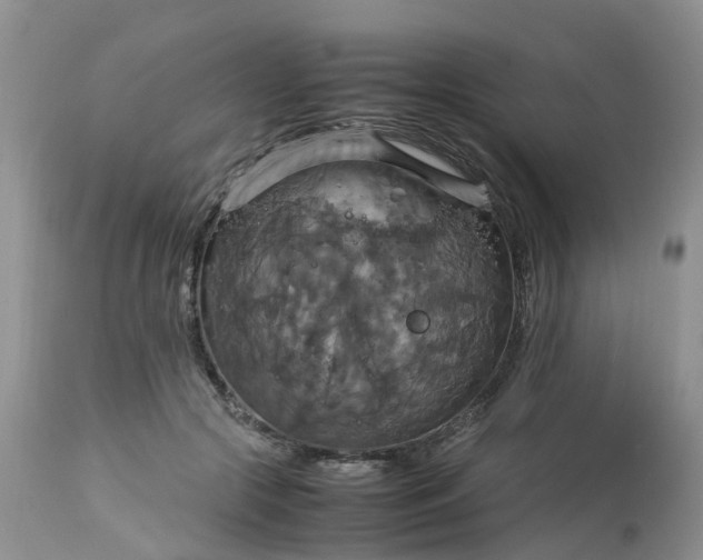 X0000113110553200909111117