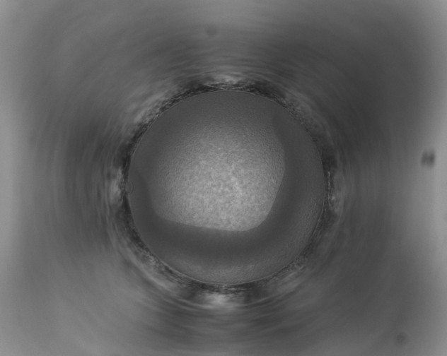 X0000113110563200909111117