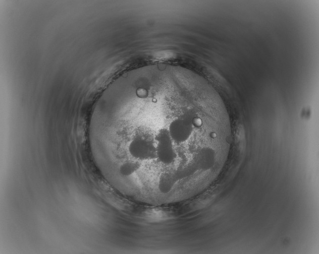 X0000113110565200909111117