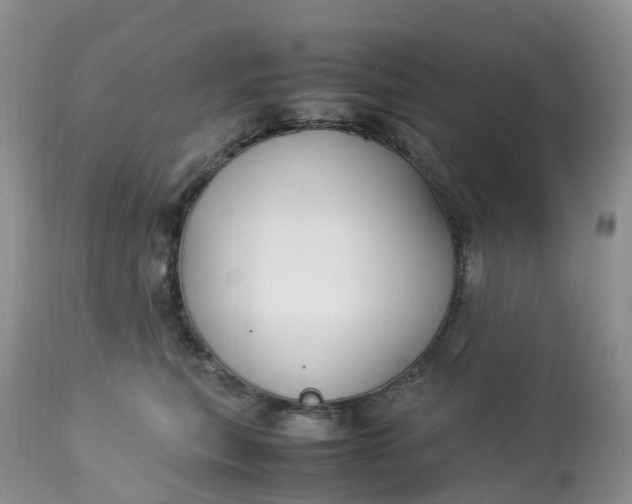X0000113110567200909111117