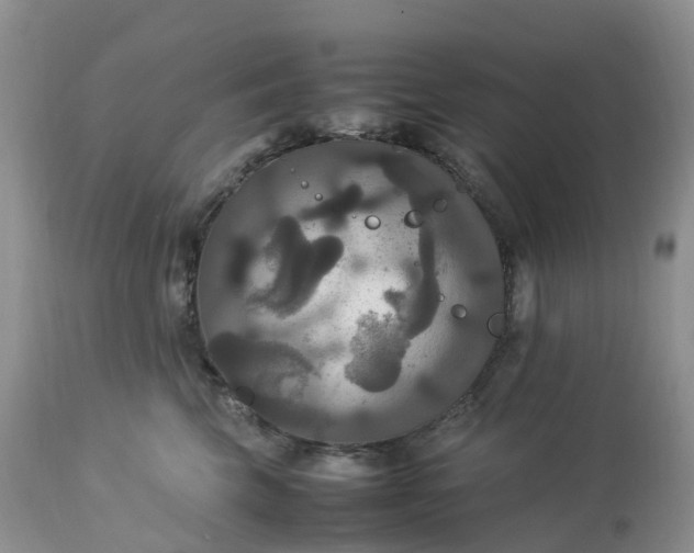 X0000113110569200909111118