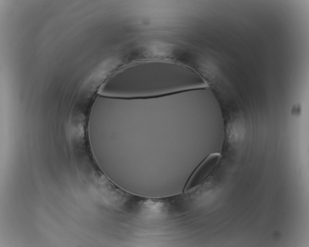 X0000113110570200909111118