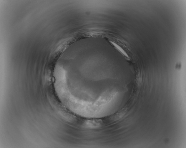 X0000113110571200909111118