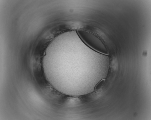 X0000113110572200909111118