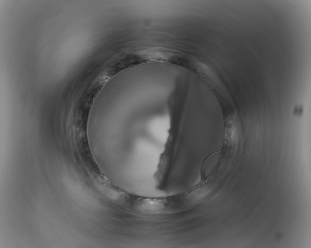 X0000113110573200909111118