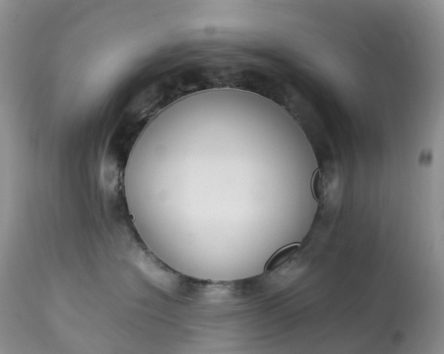 X0000113110574200909111118