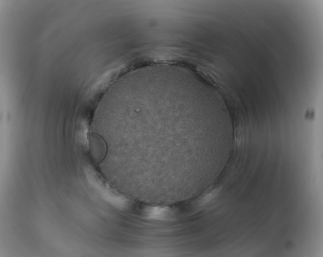 X0000113110575200909111118