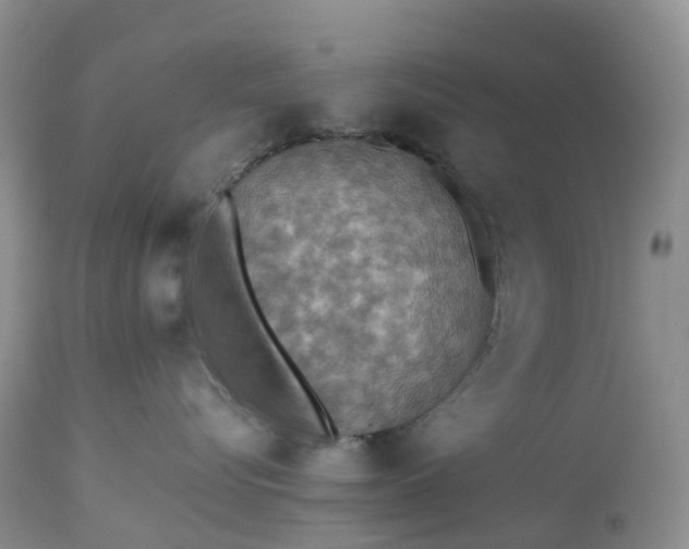 X0000113110576200909111118