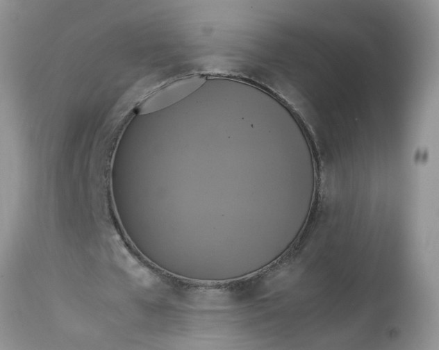 X0000113110577200909111117
