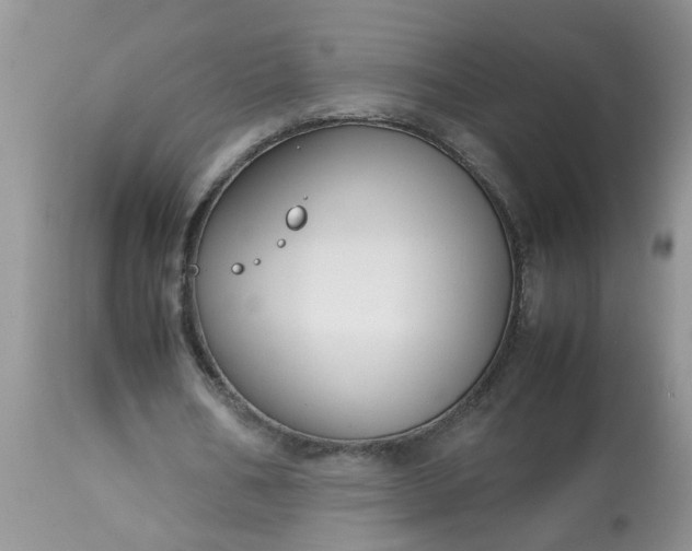X0000113110578200909111117