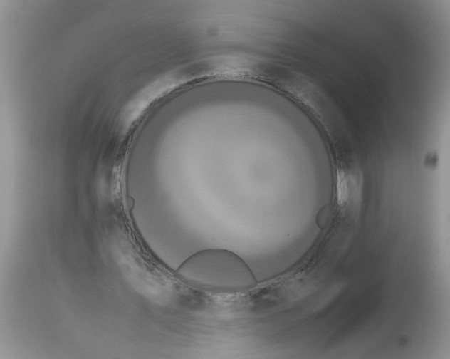 X0000113110579200909111117
