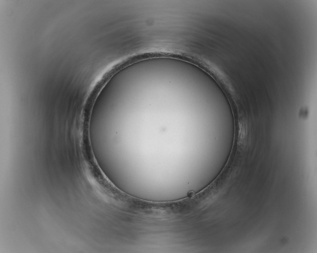 X0000113110580200909111117