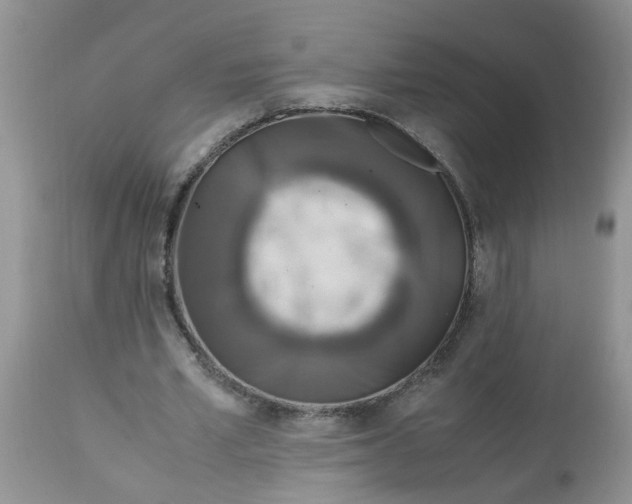 X0000113110581200909111117