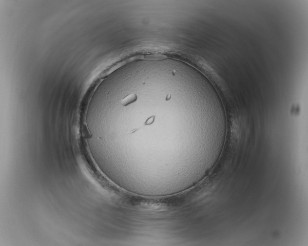 X0000113110582200909111117