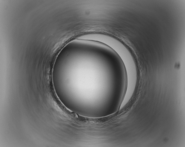 X0000113110585200909111117