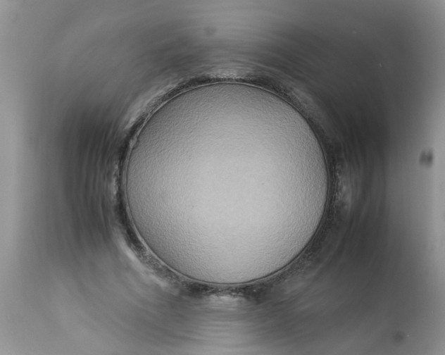 X0000113110586200909111117